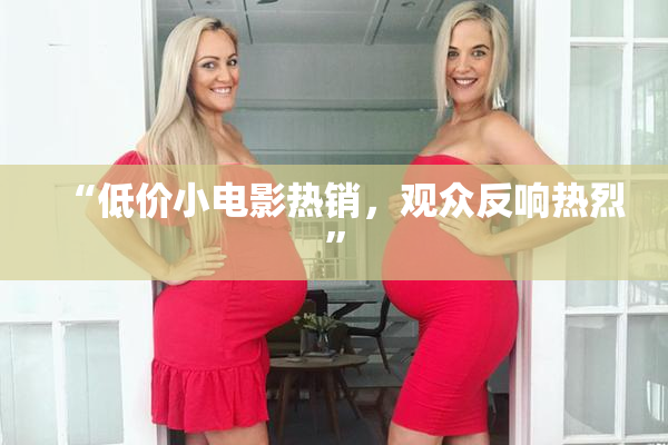 “低价小电影热销，观众反响热烈”