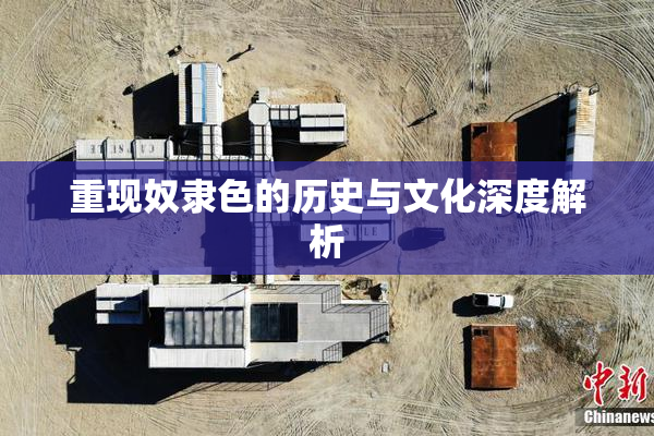 重现奴隶色的历史与文化深度解析