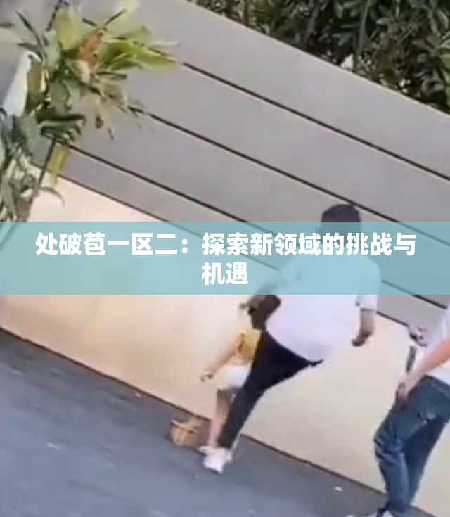处破苞一区二：探索新领域的挑战与机遇