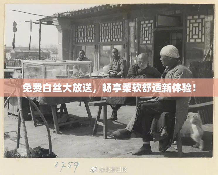 免费白丝大放送，畅享柔软舒适新体验！