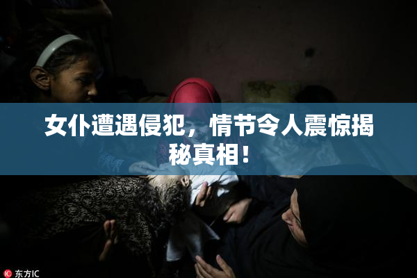 女仆遭遇侵犯，情节令人震惊揭秘真相！
