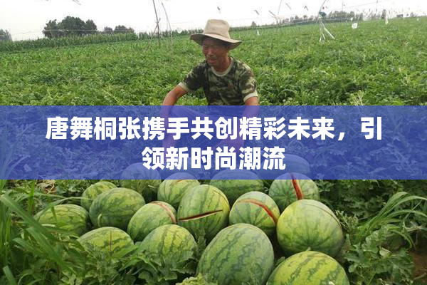 唐舞桐张携手共创精彩未来，引领新时尚潮流