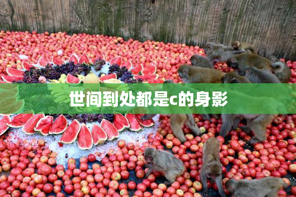世间到处都是c的身影