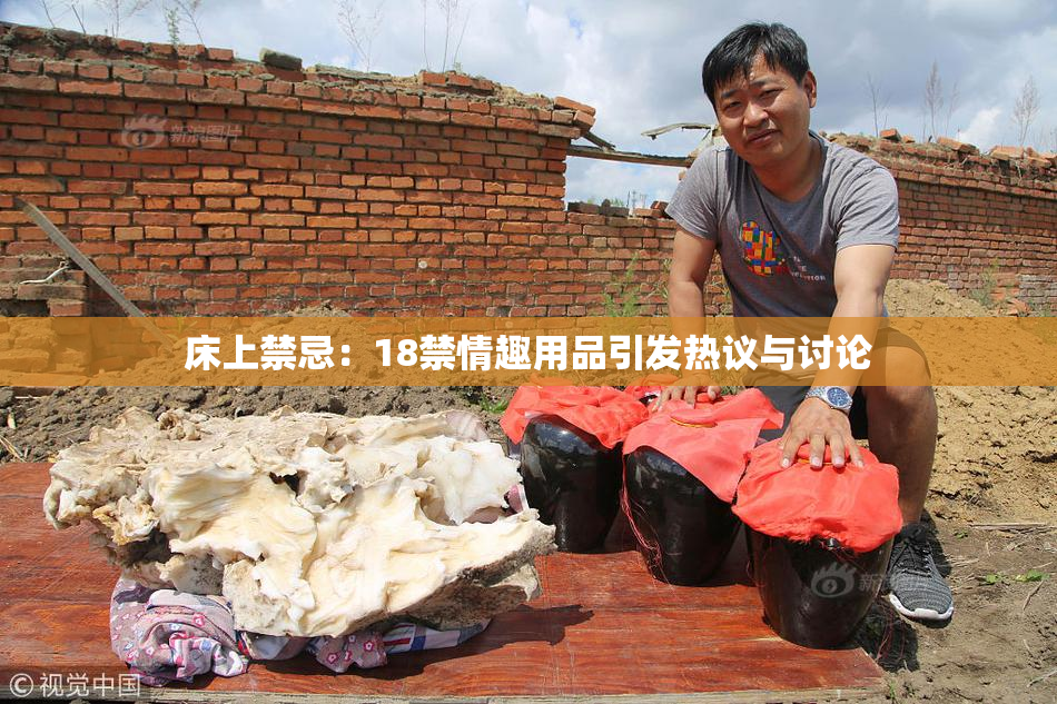 床上禁忌：18禁情趣用品引发热议与讨论