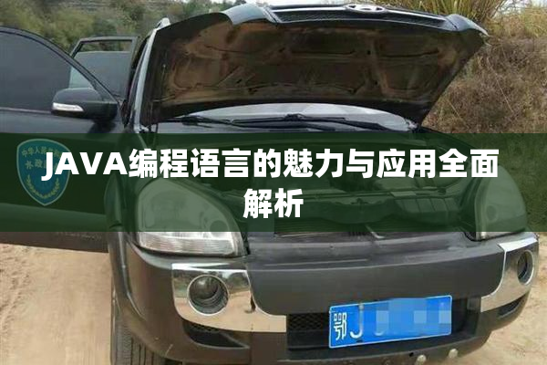 JAVA编程语言的魅力与应用全面解析
