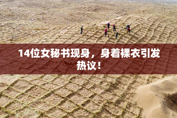 14位女秘书现身，身着裸衣引发热议！