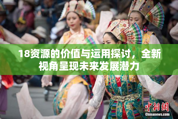 18资源的价值与运用探讨，全新视角呈现未来发展潜力