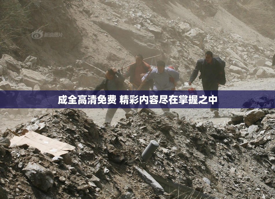 成全高清免费 精彩内容尽在掌握之中