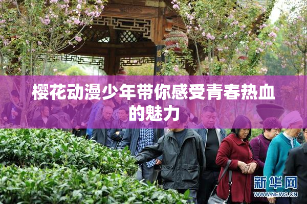 樱花动漫少年带你感受青春热血的魅力