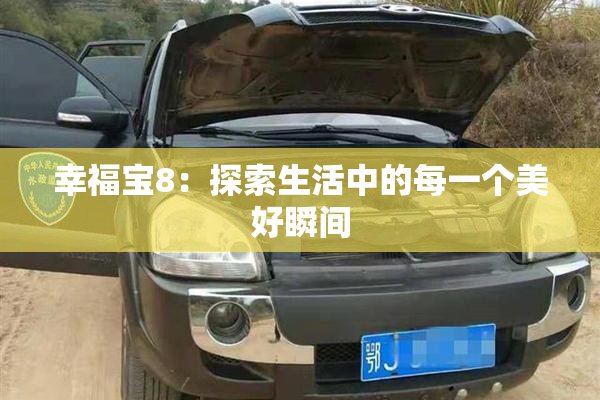 幸福宝8：探索生活中的每一个美好瞬间