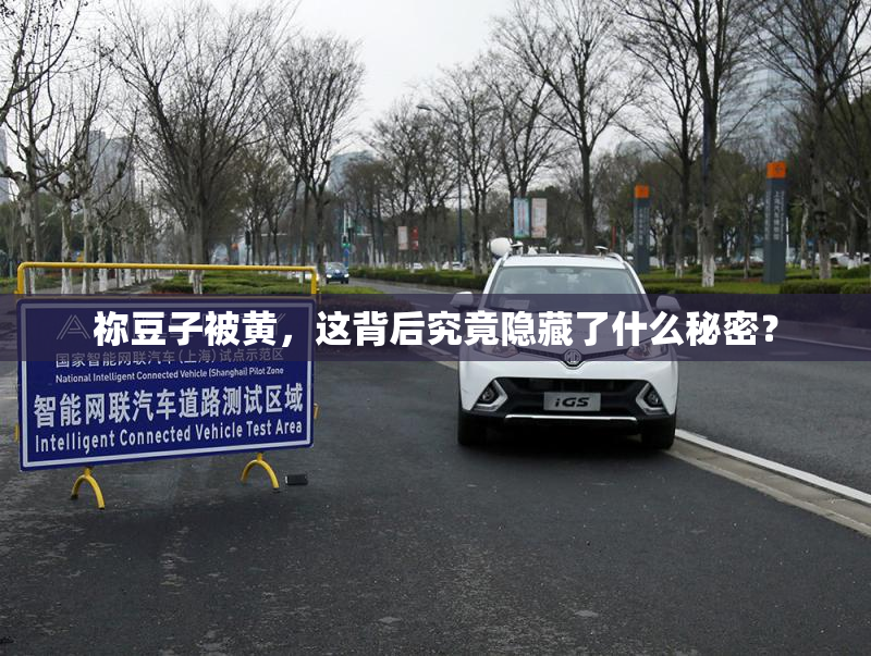 祢豆子被黄，这背后究竟隐藏了什么秘密？