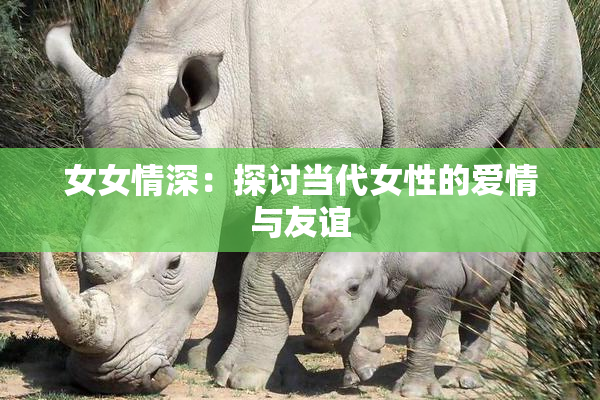 女女情深：探讨当代女性的爱情与友谊