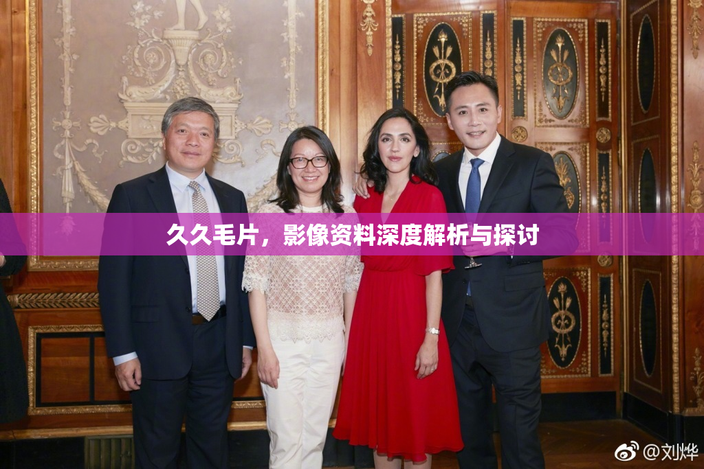 久久毛片，影像资料深度解析与探讨