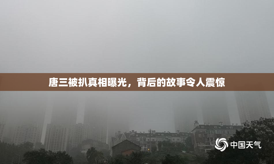 唐三被扒真相曝光，背后的故事令人震惊