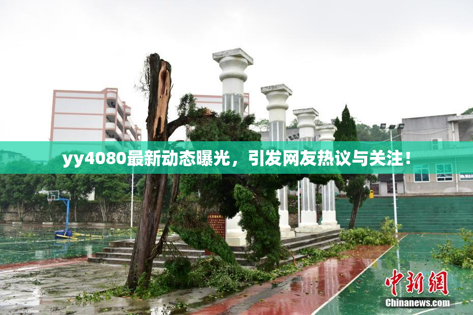 yy4080最新动态曝光，引发网友热议与关注！