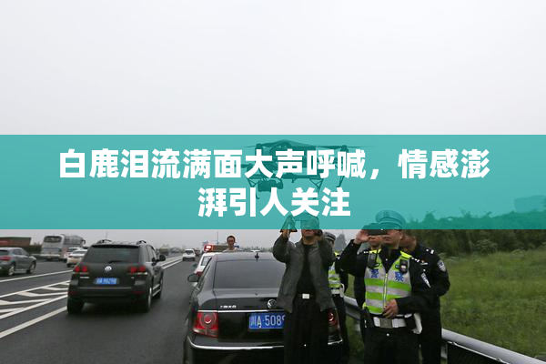白鹿泪流满面大声呼喊，情感澎湃引人关注