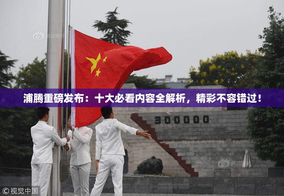 浦腾重磅发布：十大必看内容全解析，精彩不容错过！