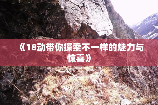 《18动带你探索不一样的魅力与惊喜》