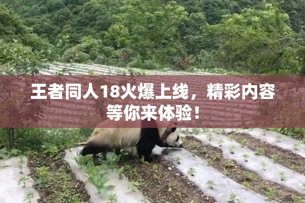 王者同人18火爆上线，精彩内容等你来体验！