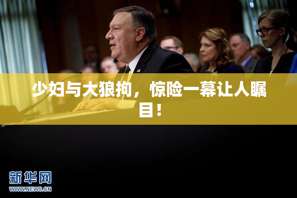 少妇与大狼拘，惊险一幕让人瞩目！
