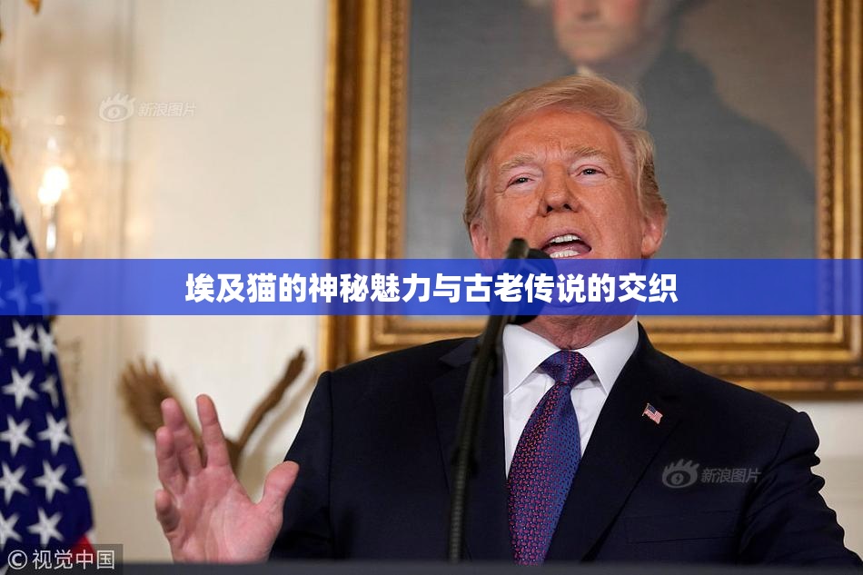 埃及猫的神秘魅力与古老传说的交织