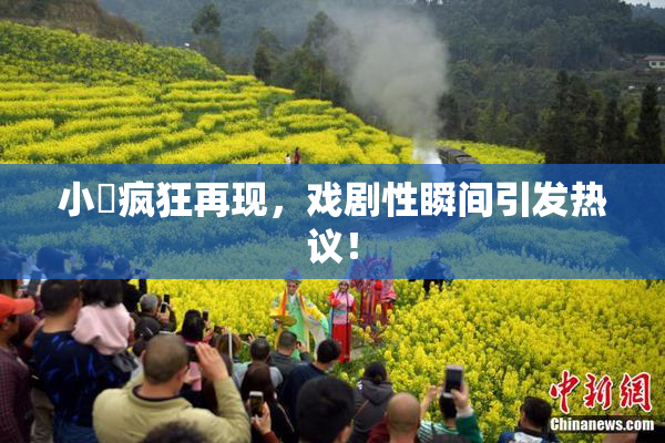 小泬疯狂再现，戏剧性瞬间引发热议！