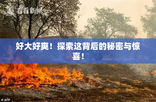 好大好爽！探索这背后的秘密与惊喜！
