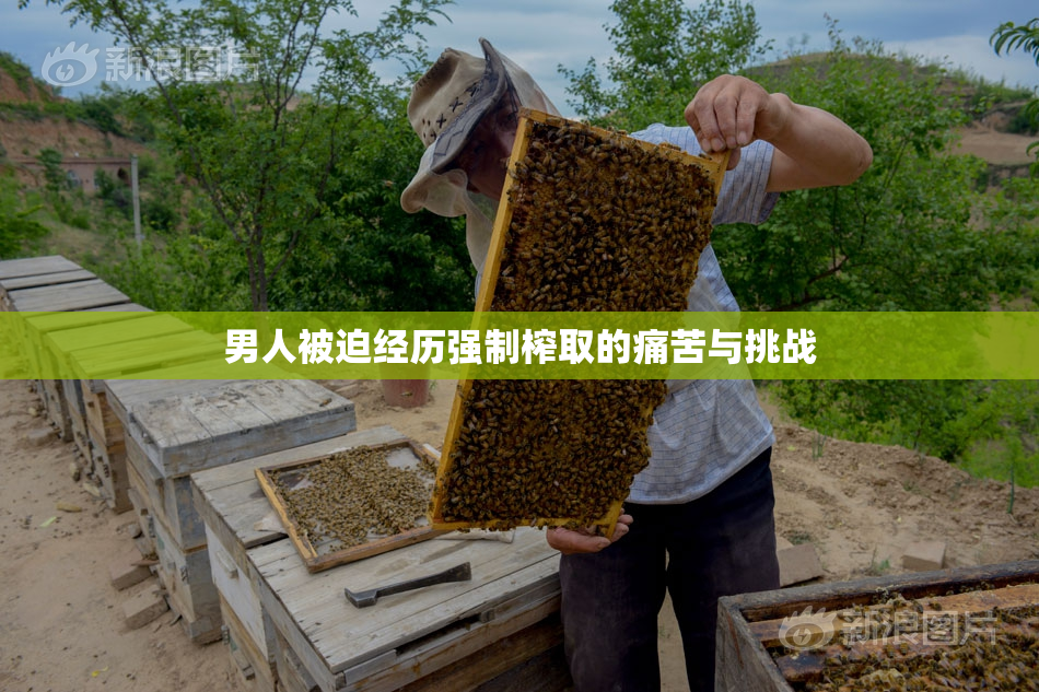 男人被迫经历强制榨取的痛苦与挑战