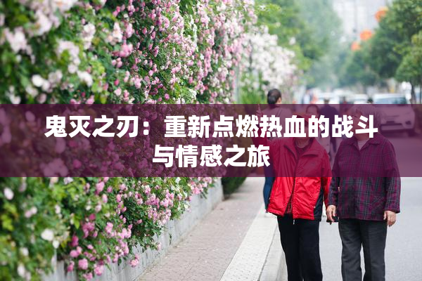 鬼灭之刃：重新点燃热血的战斗与情感之旅