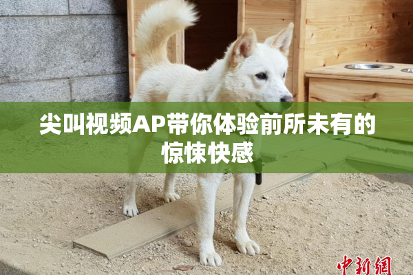 尖叫视频AP带你体验前所未有的惊悚快感