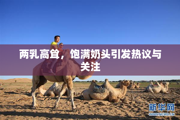两乳高耸，饱满奶头引发热议与关注