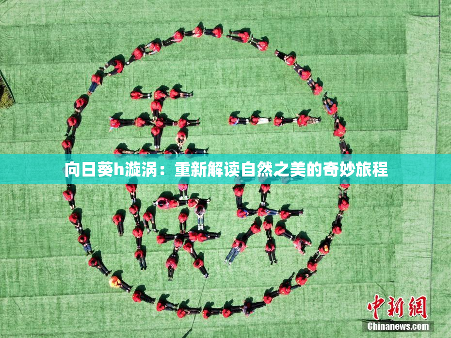 向日葵h漩涡：重新解读自然之美的奇妙旅程