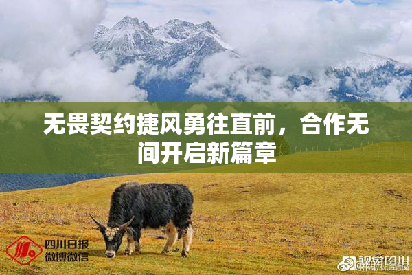 无畏契约捷风勇往直前，合作无间开启新篇章