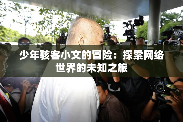 少年骇客小文的冒险：探索网络世界的未知之旅