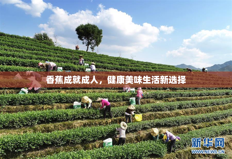 香蕉成就成人，健康美味生活新选择