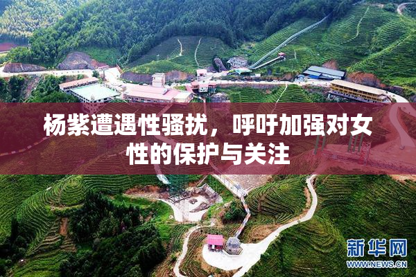 杨紫遭遇性骚扰，呼吁加强对女性的保护与关注