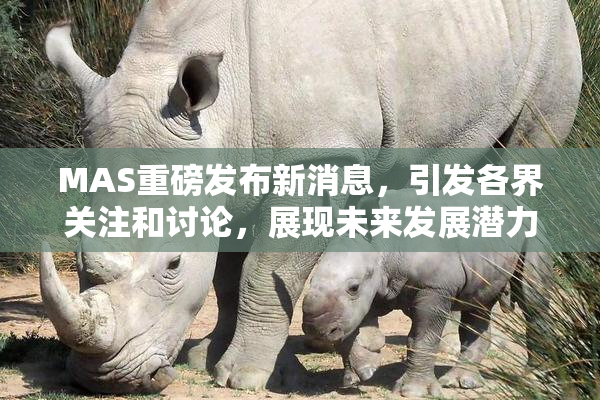 MAS重磅发布新消息，引发各界关注和讨论，展现未来发展潜力