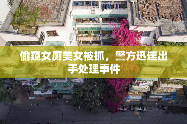 偷窥女厕美女被抓，警方迅速出手处理事件