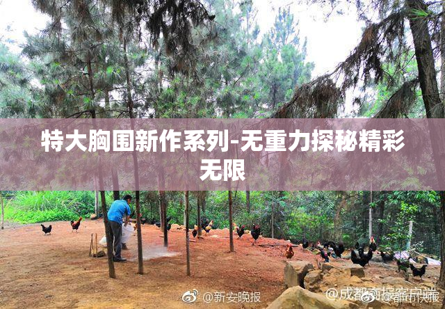 特大胸围新作系列-无重力探秘精彩无限