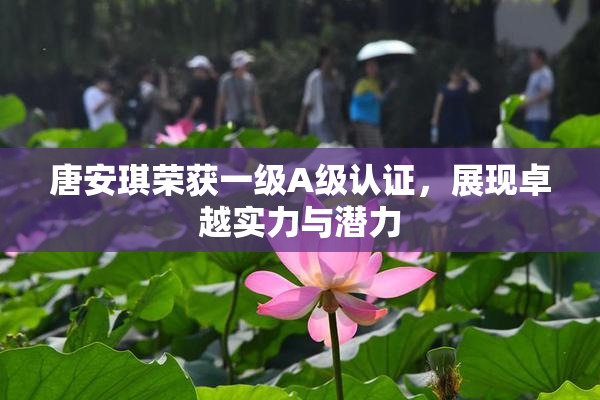 唐安琪荣获一级A级认证，展现卓越实力与潜力