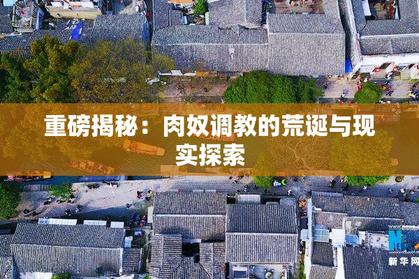 重磅揭秘：肉奴调教的荒诞与现实探索