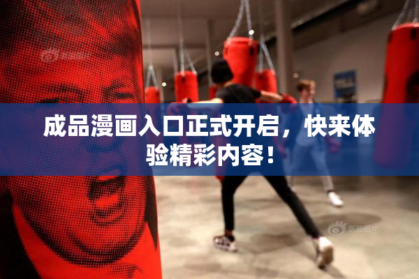 成品漫画入口正式开启，快来体验精彩内容！