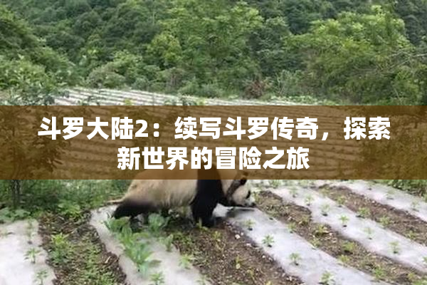 斗罗大陆2：续写斗罗传奇，探索新世界的冒险之旅
