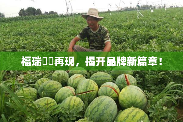 福瑞涊涊再现，揭开品牌新篇章！