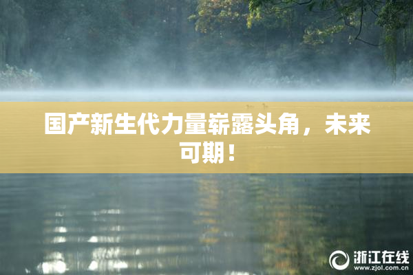 国产新生代力量崭露头角，未来可期！