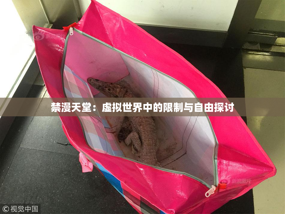 禁漫天堂：虚拟世界中的限制与自由探讨