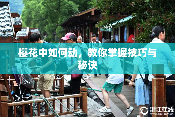 樱花中如何动，教你掌握技巧与秘诀