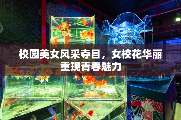 校园美女风采夺目，女校花华丽重现青春魅力