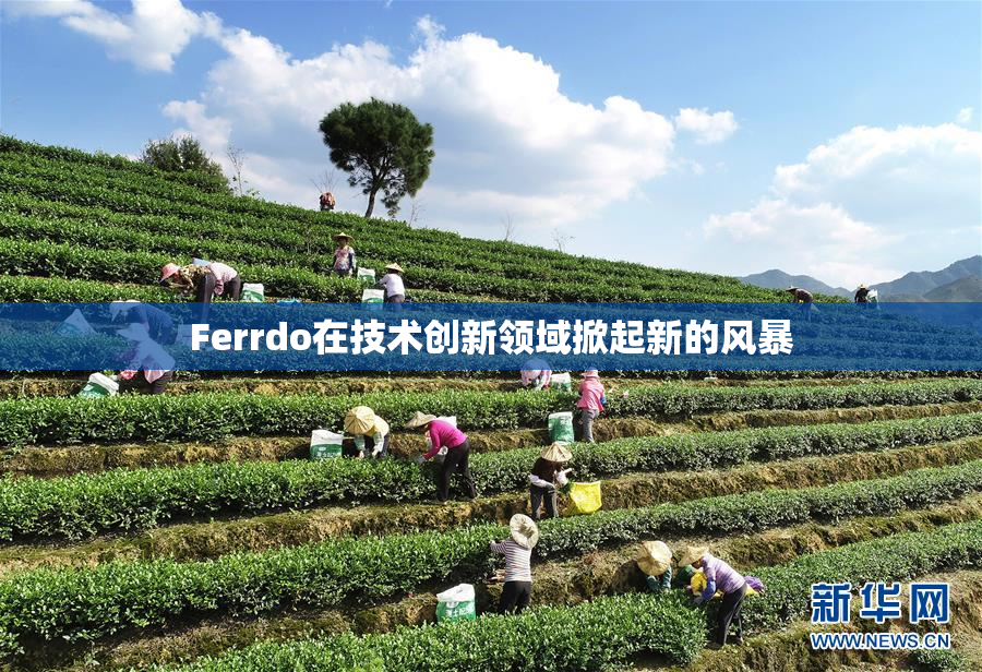 Ferrdo在技术创新领域掀起新的风暴