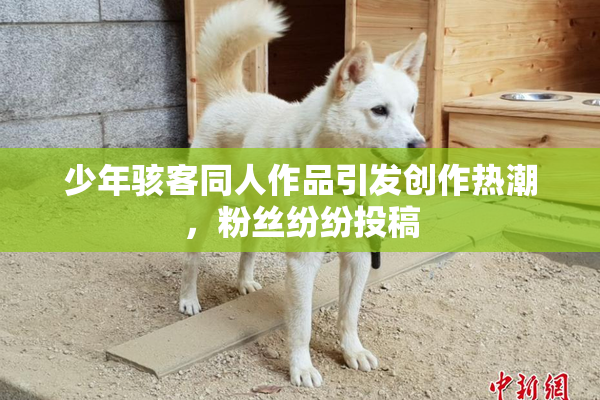 少年骇客同人作品引发创作热潮，粉丝纷纷投稿